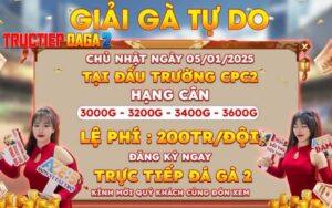 Giải Gà Tự Do Tại Bồ Gà CPC2 Ngày 05/01/2025