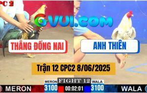 Trận 12 CPC2 8/6/2025 - Anh Thắng Đồng Nai Và Anh Thiên
