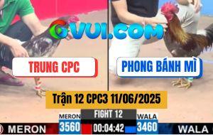 Trận 12 CPC3 11/6/2025 - Anh Trung Campuchia Và Anh Phong Bánh Mì