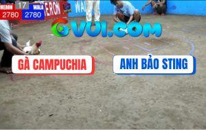 Trận 17 Anh Bảo Sting Với Campuchia - Bướm Hiệu Anh Bảo Bị Đâm Gãy Cổ