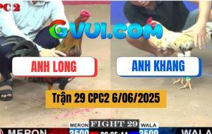 Trận 29 CPC2 6/6/2025 - Điều Anh Long Đá 3 Chân Rinh Bướm Anh Khang Ra