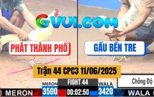 Trận 44 CPC3 11/6/2025 - Đắng Lòng Gà Úa Anh Tèo Thua Trên Thế Thắng