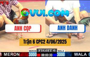 Trận 6 CPC2 4/6/2025 - Gà Bông Anh Cọp Đụng Cọp 2 Cước Bưng Ra Ngoài