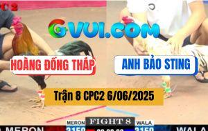 Trận 8 CPC2 6/6/2025 - Anh Hoàng Đồng Tháp Và Anh Bảo Sting