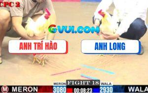 Trận 18 CPC2 30/7/2025 - Bướm Anh Long Hạ Bướm Đỏ Chỉ Sau 3 Nốt Nhạc