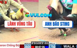 Trận 31 CPC2 27/07/2025 - Bảo Sting Chấp Anh Lành 8 Chấm Gà Tý Thì Lụm