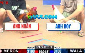 Trận 7 CPC2 30/7/2025 - Gà Điều Anh Nhân Đâm Bướm Lỗ Chỗ Như Tổ Ong
