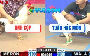 Trận 1 CPC2 11/7/2025 - Anh Tuấn Hóc Môn Mở Bát Hạ Anh Cọp Mau Lẹ