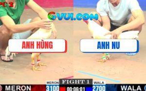 Trận 1 CPC2 16/7/2025 - Gà Anh Hùng Nhỏ Ký Đá Bự Bò Lê Bò Lết