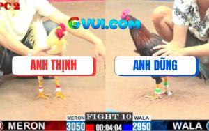 Trận 10 CPC2 11/7/2025 - Gà Úa Đang Thắng Tang Bỏ Chạy Báo Hại Hàng 6