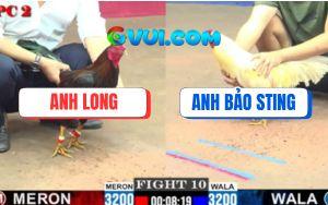 Trận 10 CPC2 16/7/2025 - Úa Hiệu Bảo Sting Đụng Phải Tảng Đá Cứng