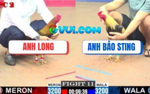 Trận 11 CPC2 20/07/2025 - Anh Long Hạ Anh Bảo Sting Trong Một Nốt Nhạc
