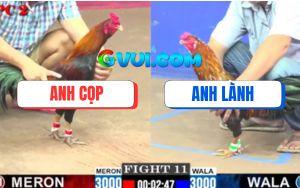 Trận 11 CPC2 25/07/2025 - Điều Mặt Râu Anh Cọp Đá Que Bông Kêu Miệng