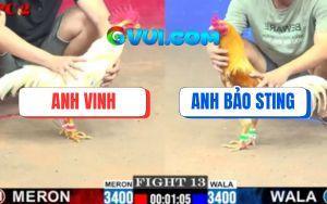 Trận 13 CPC2 9/7/2025 - Bướm Mai Độ Đá Camelo Anh Bảo Sting Chạy Chết