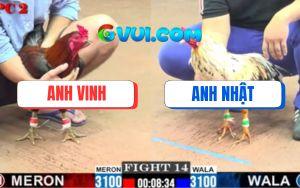 Trận 14 CPC2 11/7/2025 - Bướm Anh Nhật Hạ Gà Điều Ngay Hiệp Đầu Tiên