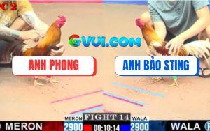 Trận 14 CPC2 20/07/2025 - Camele Anh Bảo Sting Dập Như Máy Khâu