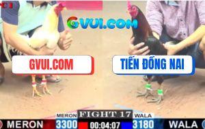 Trận 17 CPC1 3/7/2025 - Điều Chân Xanh Mai Độ Đá Úa GAKING79 Cúp Điện