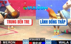 Trận 17 CPC2 11/7/2025 - Gà Điều Có Chết Cũng Kéo Gà Khét Đi Theo