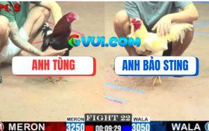 Trận 22 CPC2 20/07/2025 - Úa Hiệu Bảo Sting Siết Tăng 1 Lụm Kem