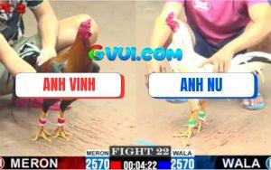 Trận 22 CPC2 25/07/2025 - Bướm Hiệu Bảo Sting Quá Nhanh Quá Nguy Hiểm