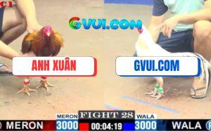 Trận 28 CPC1 3/7/2025 - Khét Đá 3 Cước Đưa Bướm GAKING79 Đi Bán Muối