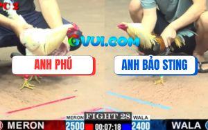 Trận 28 CPC2 20/07/2025 - Bướm Anh Phú Đâm Chuối Nhập Bảo Sting Gãy Cổ