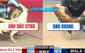 Trận 28 CPC2 9/7/2025 - Gà Cú Đâm Úa Hiệu Bảo Sting Như Búa Bổ Củi Khô