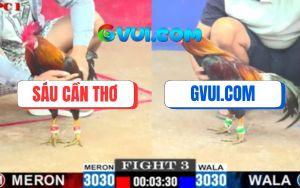 Trận 3 CPC1 3/7/2025 - Gà Điều GAKING79 Đá Gà Anh Sáu Chạy Té Khói