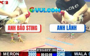 Trận 30 CPC2 2/7/2025 - Bướm Hiệu Bảo Sting Nhấc Chân Là Có Kết Quả