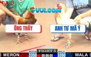 Trận 5 CPC2 11/7/2025 - Bướm Anh Tư Mã Ý Đá Bể Đầu Bướm Ông Thầy