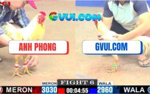 Trận 6 CPC1 3/7/2025 - Bướm Anh Phong Đâm Bướm GAKING79 Chạy Mất Dẹp