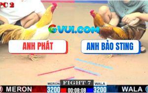 Trận 7 CPC2 20/07/2025 - Khét Cọp Bảo Sting Bị Đá Gãy Giò Tay Nước Đầu