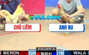 Trận 8 CPC2 20/07/2025 - Gà Anh Nu Nhỏ Con Nhưng Đâm Không Sót Một Mũi