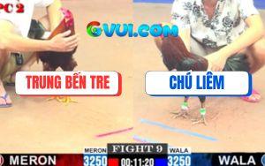 Trận 9 CPC2 4/7/2025 - Điều Đá Đúng 1 Chân Que Bông Chú Liêm Rơi Tự Do