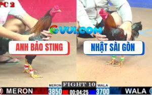 Trận 10 CPC2 6/8/2025 - Điều Cọp Bảo Sting Đá 1 Phát Đối Thủ Giãy Chết