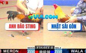 Trận 2 CPC2 01/08/2025 - Anh Nhật Sài Gòn Và Anh Bảo Sting