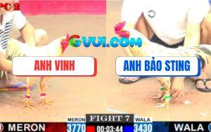 Trận 7 CPC2 01/08/2025 - Anh Bảo Sting Số Đen, Ra Bốn Con Té Cả Bốn