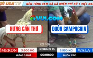 Trận 13 Ton Hon 18/10/2025 - Gà Bướm Anh Hưng Chết Từ Trong Trứng Nước