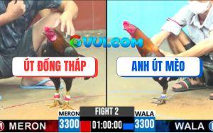 Trận 2 CPC6 12/10/2025 - Gà Anh Út Đồng Tháp Hạ Sát Gà Anh Út Mèo