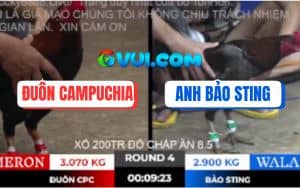 Trận 4 Bồ TonHon 10/10/2025 - Anh Bảo Sting Và Anh Đuôn Campuchia