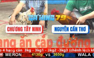 Trận 10 CPC5 25/11/2025 - Điều Anh Nguyên Kém 4 Đá Gà Bướm Như Con