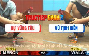 Trận 13 CPC4 16/11/2025 - Gãy Cựa Hòa, Chủ Gà Xanh Từ Chối Chấp Nhận