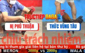 Trận 13 CPC5 9/11/2025 - Điều Lá Anh Nị Phú Thuận Đâm Cựa Quá Tịch