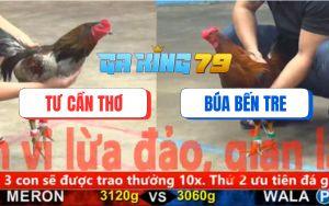 Trận 17 CPC5 27/11/2025 - Xám Chân Xanh Đá Nước Cuối Bo Vẫn Còn Tươi