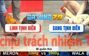 Trận 14 CPC5 27/11/2025 - Bướm Lên 2 Kém 3 Chấm Đá Khét Chạy Không Kịp