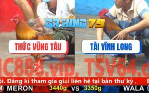 Trận 15 CPC5 23/11/2025 - Gà Vàng Anh Thức Đá Quá Nhanh Quá Nguy Hiểm