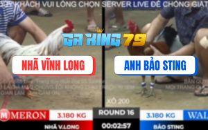 Trận 16 TonHon 28/11/2025 - Anh Bảo Sting Tiếp Tục Rớt Nài Với Anh Nhã