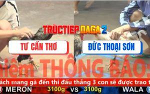 Trận 2 CPC5 6/11/2025 - Gà Bướm Anh Tư Cần Thơ Nhấc Chân Là Có Kết Quả
