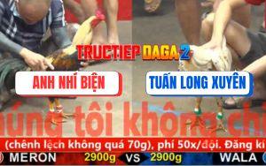 Trận 24 CPC5 6/11/2025 - Bướm Anh Tuấn Đâm Gà Chuối Nhí Biện Rụng Cây