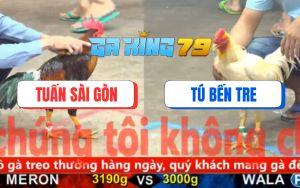 Trận 3 CPC5 24/11/2025 - Điều Chụp Đầu Đạp 3 Chân Kết Liễu Gà Úa